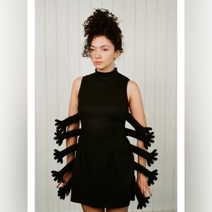 Fashion Brand Company Black Bug Dress